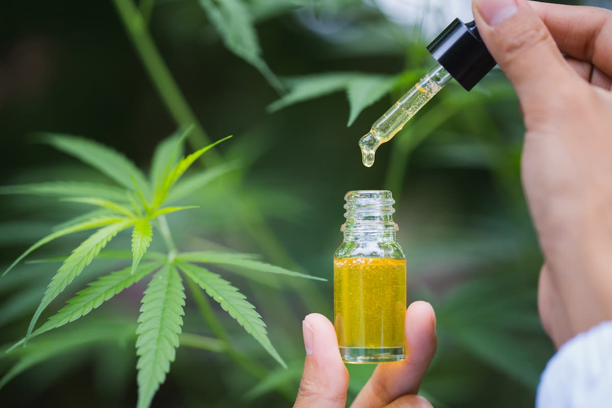 CBD Oil