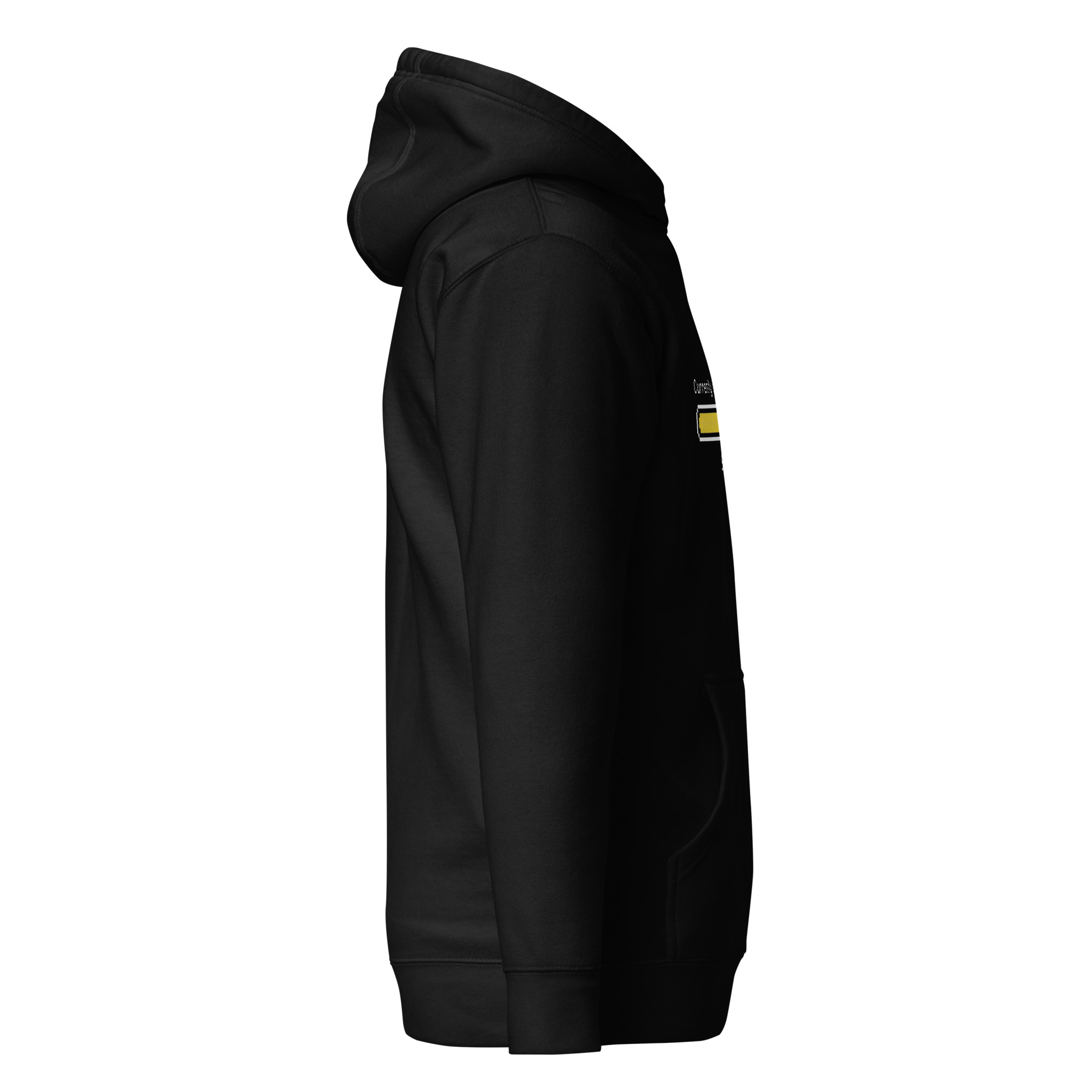 Currently Indexing Unisex Black Hoodie - Image 4